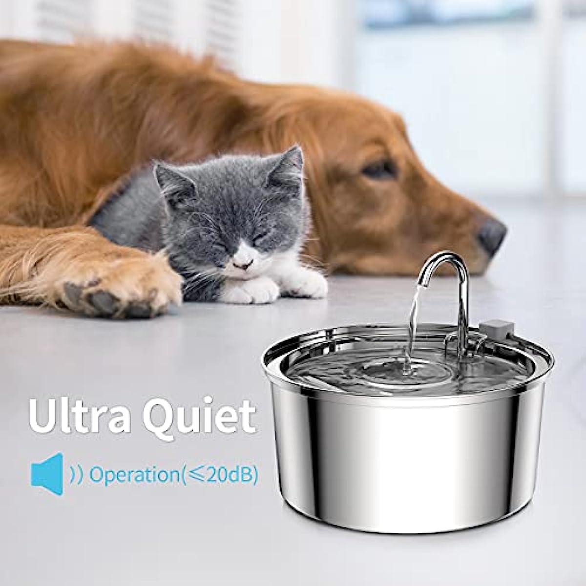 Камера видеонаблюдения Blurams – обзор и цена Smart Pet Feeder Camera Wifi