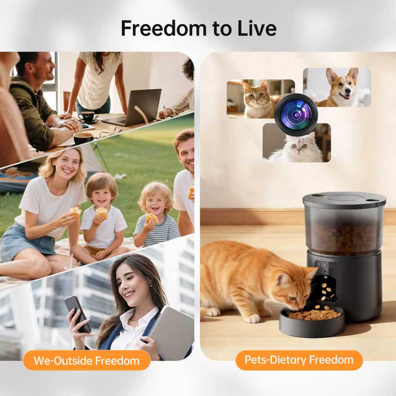 Автоматическая кормушка для ко – обзор и цена Smart Pet Feeder Camera Wifi