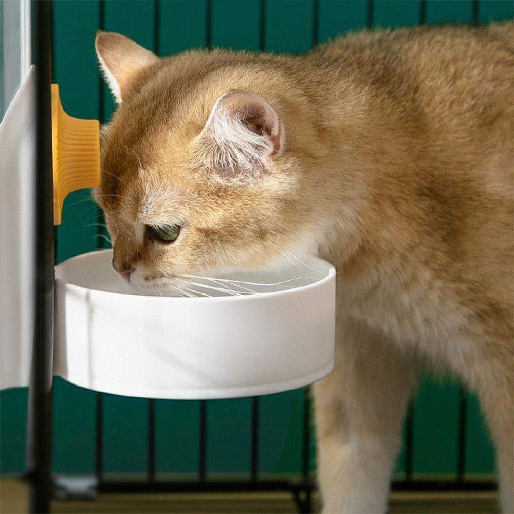 Клетка для кошек большой емкос – обзор и цена Dog Water Fountain Large