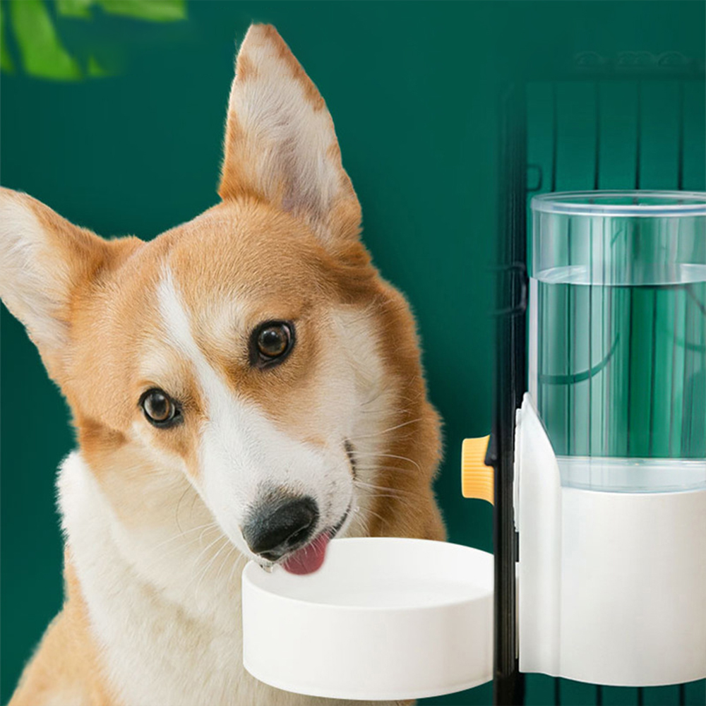 Клетка для кошек большой емкос – обзор и цена Dog Water Fountain Large