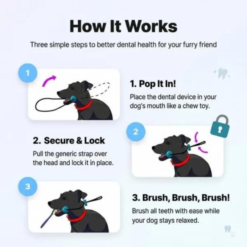 Двухфункциональная жевательная – обзор и цена Pet Fountain Cleaning Kit