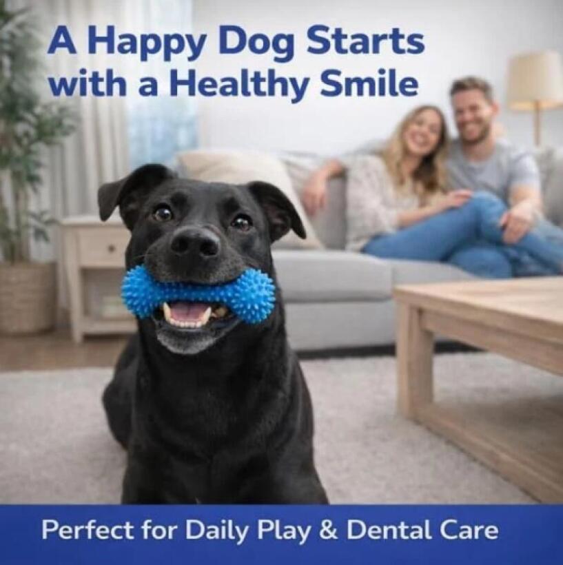 Двухфункциональная жевательная – обзор и цена Pet Fountain Cleaning Kit