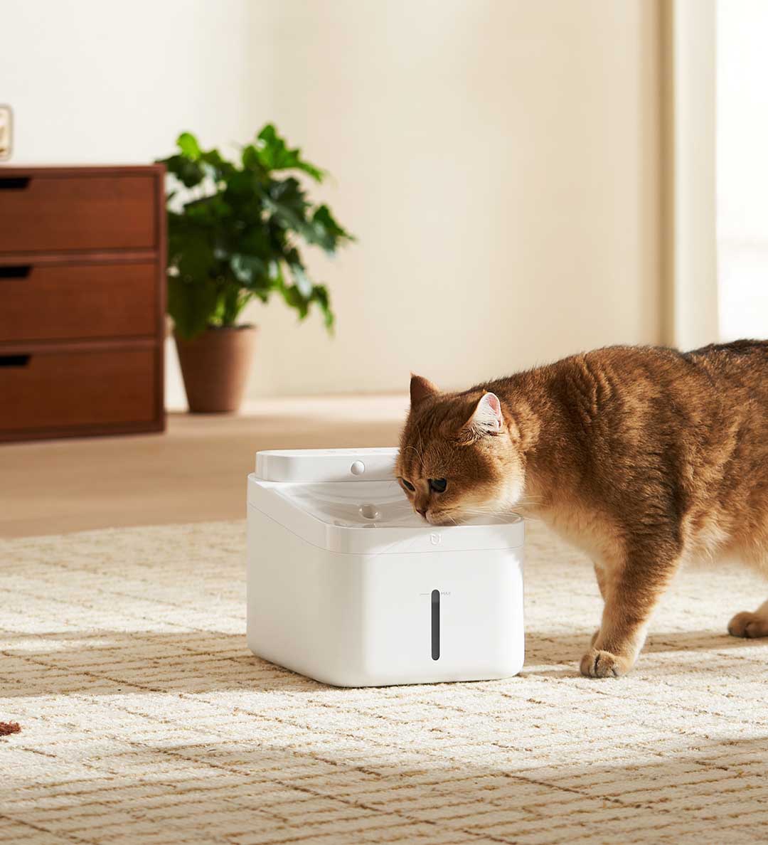 Новая умная поилка для домашни – обзор и цена Smart Pet Water Fountain Wifi