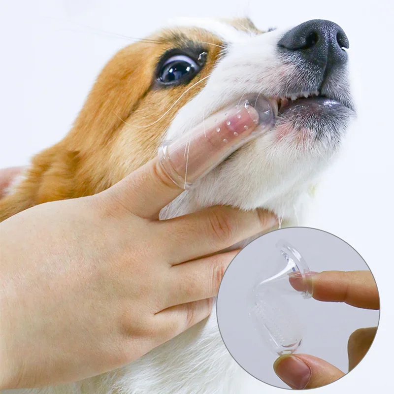 Супермягкая зубная щетка для п – обзор и цена Pet Fountain Cleaning Kit
