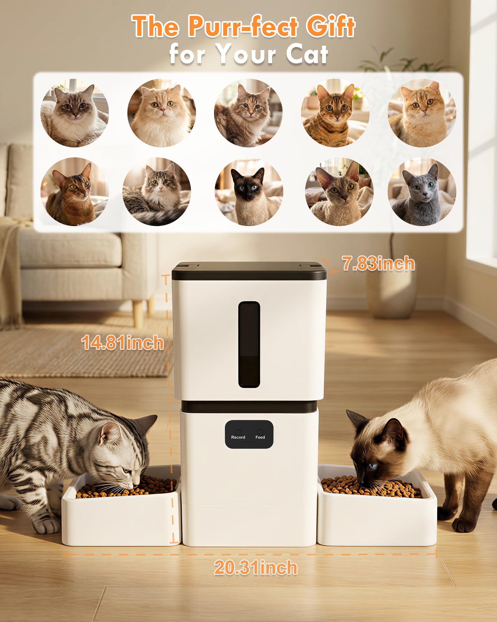 Умная автоматическая кормушка  – обзор и цена Smart Pet Feeder Camera Wifi